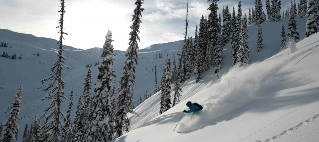 Powder snow and exciting terrain in Revelstoke