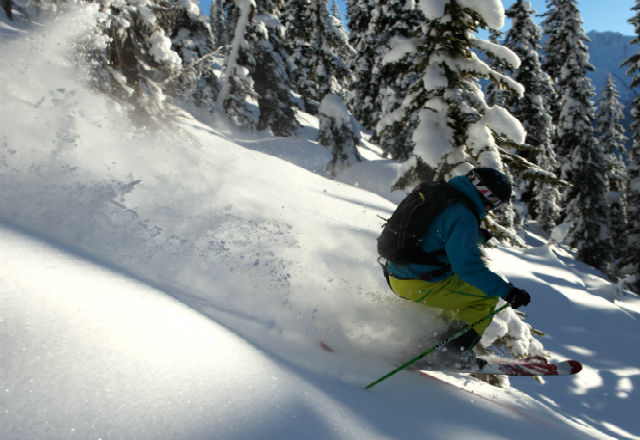 The world's best tree skiing in Revelstoke